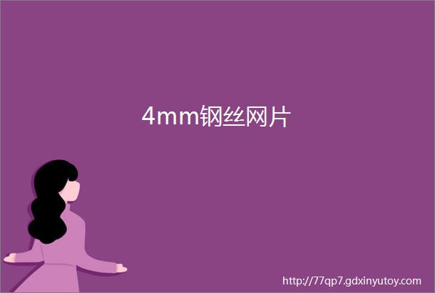 4mm钢丝网片