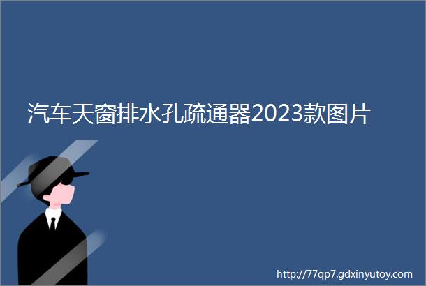 汽车天窗排水孔疏通器2023款图片