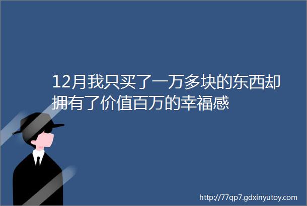 12月我只买了一万多块的东西却拥有了价值百万的幸福感